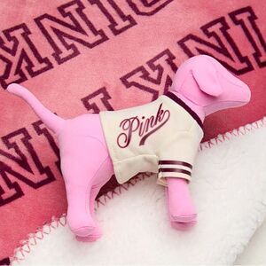 Pink VS pink Friday dog!